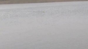 Кораблик D 19 видео инструкция.