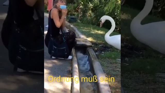 Порядок должен быть. Ordnung muss sein. смотреть онлайн