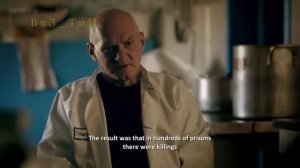 В петухи и опущенные на зоне за изнacилoвaния на воле.