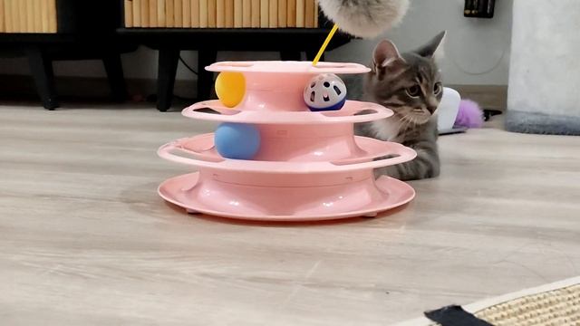 Гусёнок настоящий непоседа смотреть онлайн