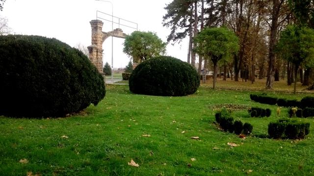 Почему мы переехали в Сербию? Жизнь в Сербии плюсы. Эмиграция из России в Сербию. Сербия 2021.