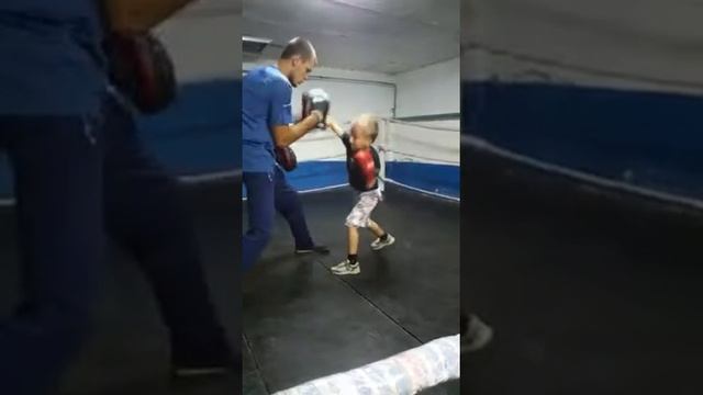Бокс Караганда смотреть онлайн