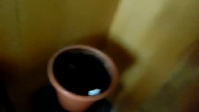 Исследование биоразлагаемости пластика , ч.5: результаты через неделю смотреть онлайн