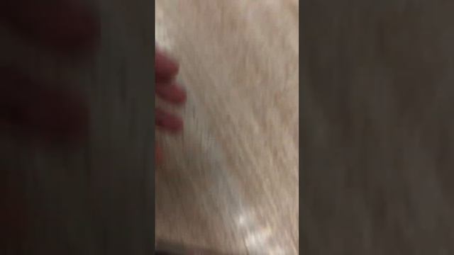 5 декабря 2023 г. смотреть онлайн