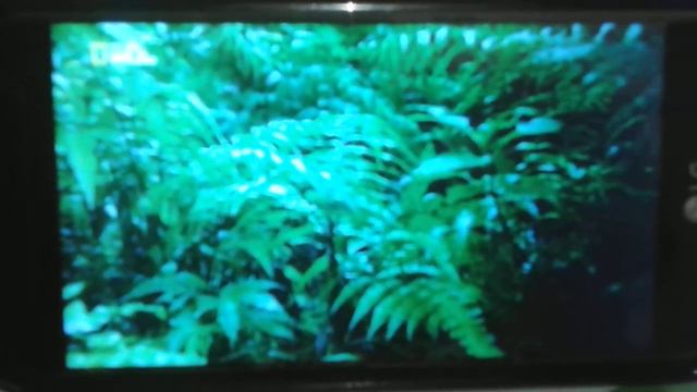 пришел отказ 42500, но мы получили смотреть онлайн