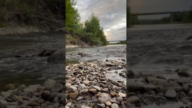 звуки природы от Антипа, пение птиц, звуки леса,для релакса,сна,медитации,relax смотреть онлайн