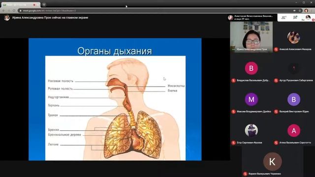 Агроинженерия - Биология 2020-10-20 Лекция "Биология человека" Часть 2 смотреть онлайн
