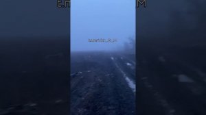 СВО Главное