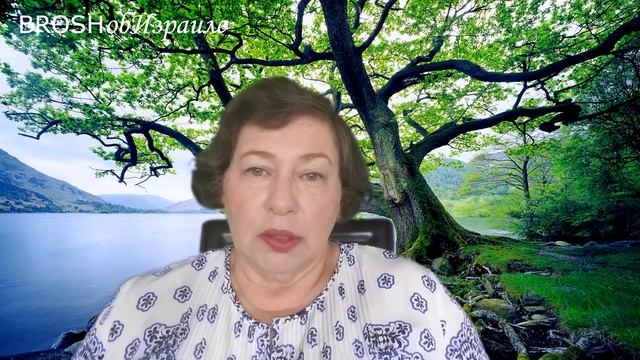 253.Кто может приехать на ПМЖ в Израиль? смотреть онлайн