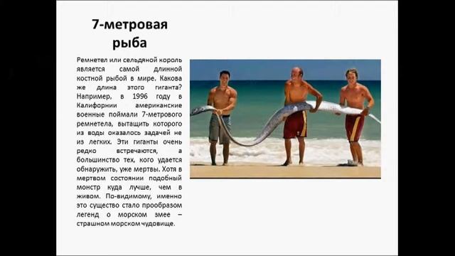 Вы первые, кто их увидел! смотреть онлайн