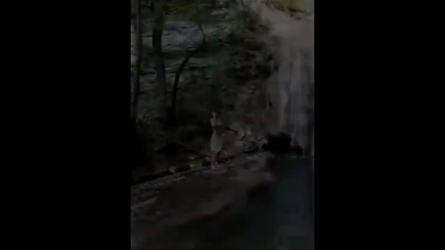 Азиза_Ростов. Танец живота под шум водопада... смотреть онлайн
