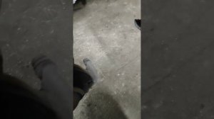 Как поменять задние колодки ,на камри 70 с электро приводом ручника! Без сканера и автосервиса!;)