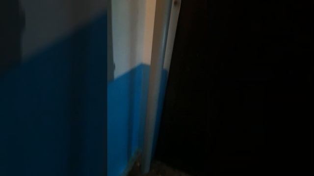 ООО АНТЕЙ,под управлением лица САЛИМОВОЙ Н.Г.- капииальный ремонт крыши. смотреть онлайн