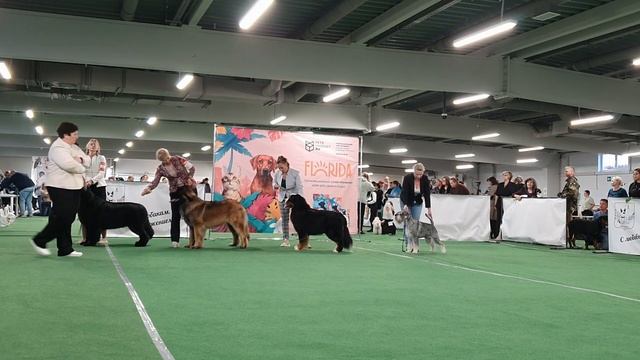 30.09.2023, СПб. Клуб 