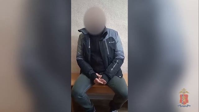 Задержали подозреваемого в пожогах смотреть онлайн