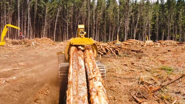 Финляндия ошеломлена введением Россией ограничений на экспорт древесины смотреть онлайн