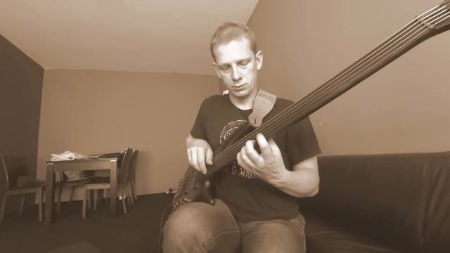 Ibanez Portamento fretless bass with piezo pickup SRF 705 + ADMini Delay - Kosma Kalamarz смотреть онлайн
