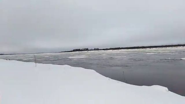 Ждём паром! смотреть онлайн