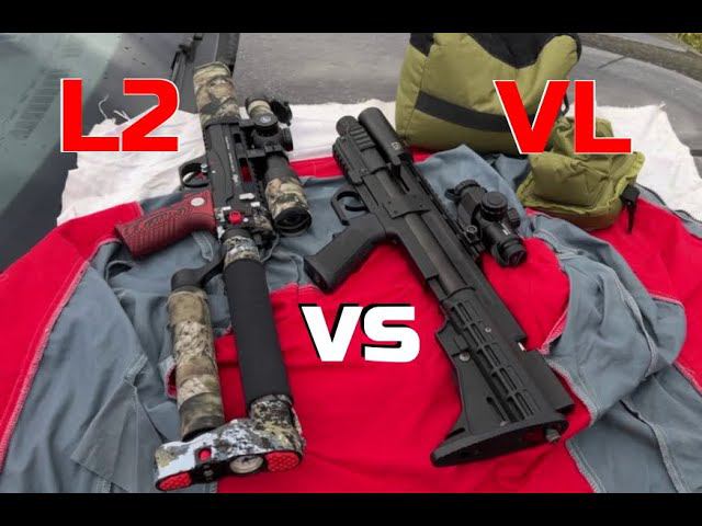 VL-21 300 Vs L2 250 | Леший и Вилка, отстрел от покупателя.