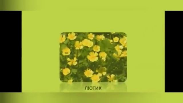 Бакай-Ата району, "Гулзар" балдар бакчасы онлайн "Гулдор," орус тили сабагы смотреть онлайн