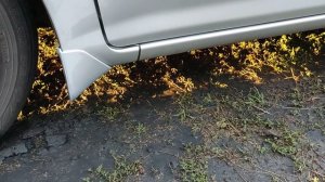 Установка брызговиков в круг на TOYOTA COROLLA FIELDER 161