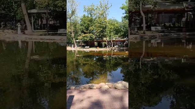 Пруд в парке Горького в городе Мелитополь смотреть онлайн