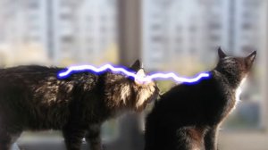 Как самому подшить валенки