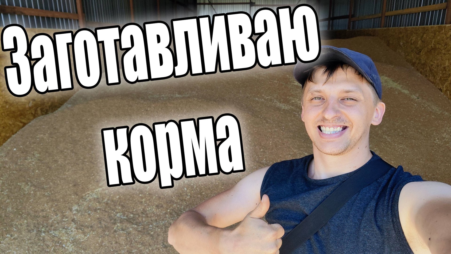 Заготовка кормов смотреть онлайн