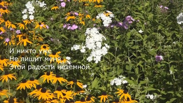 Ты - мой Бог святой Христианская песня исполняет Лидия Савченко смотреть онлайн