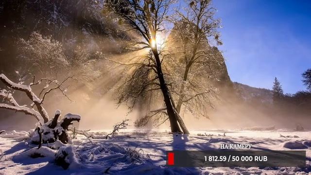 #Relax Best Music Edgar Tuniyants, #стрим + Бот #мелодия, романтическая, успокаивающая, #музыка душ