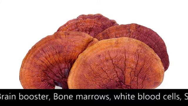 THE POWER OF THE KING OF ALL NATURAL MEDICINES: SHANATAI GANODERMA LUCIDUM смотреть онлайн