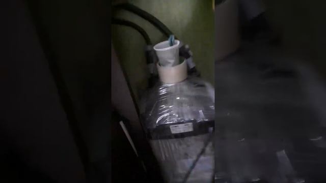 аквариум угловой смотреть онлайн