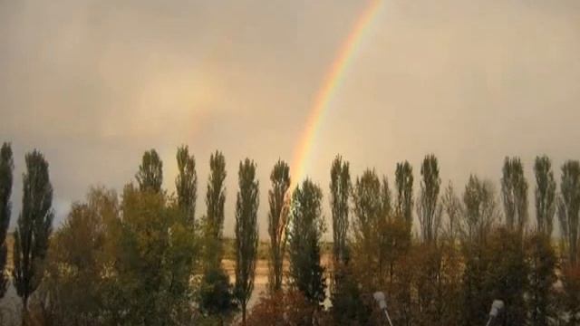 Леди Осень смотреть онлайн