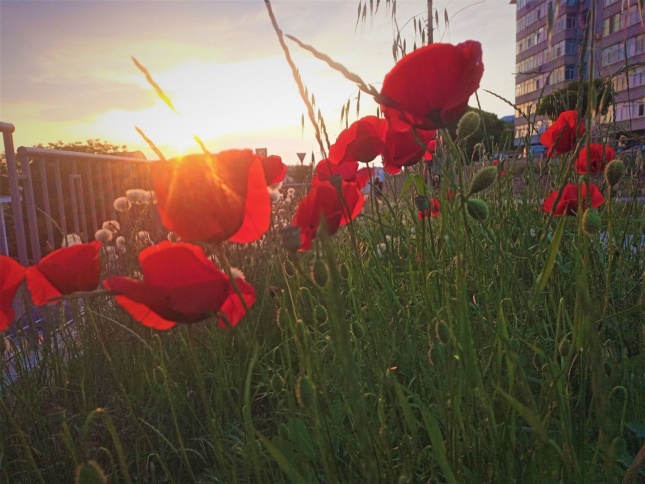 06.06.2023 Мой город под фортепиано