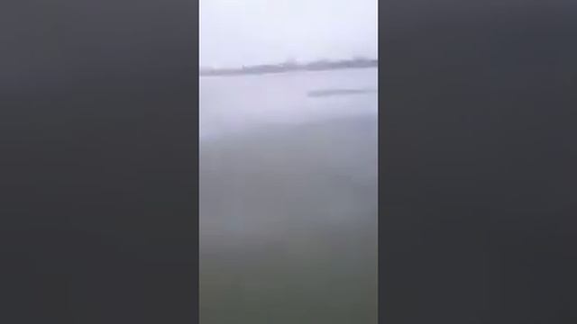 В Атырау разбираются в причинах массовой гибели рыбы в Урале смотреть онлайн