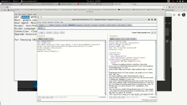 How to detect the site for CRLF Injection смотреть онлайн