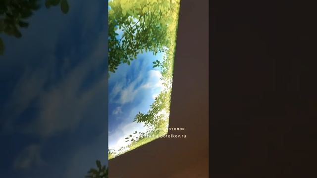видео 3D натяжной потолок. студия Потолочный PRO Интерьер https://studia-potolkov.ru/ смотреть онлайн