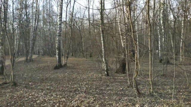 Попурри/Немного природы и шашлыков/Как чувствует себя Мишель/ Мишель со стрима, кто был, поймёт)))) смотреть онлайн