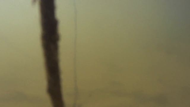 Рыбалка на Волге 2017 Девятый день Fishing On The Volga 2017 Ninth Day