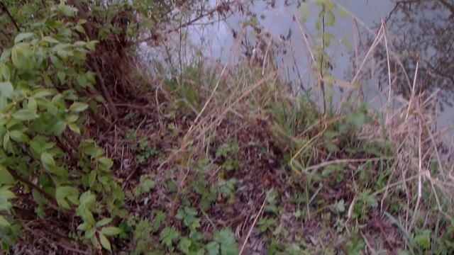 Рыбалка / Боровск 2019 смотреть онлайн