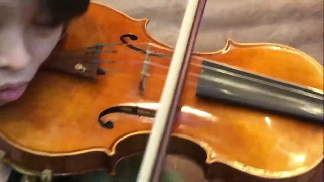 Ifstrings Private Stock VSA #154 Guarneri Del Gesu 1742 