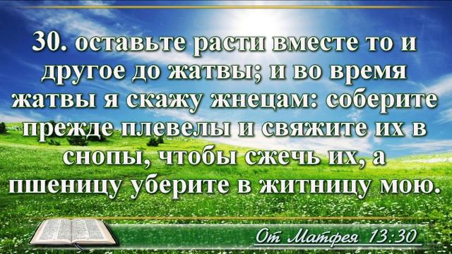 Евангелие от Матфея с музыкой глава 13 читаем и слушаем смотреть онлайн