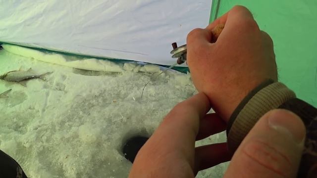 ПОД ЭТИМИ ЛУНКАМИ ЖИВУТ КРАКЕНЫ! РЫБАЛКА НА БЕЗМОТЫЛКУ ЛЕЩ смотреть онлайн