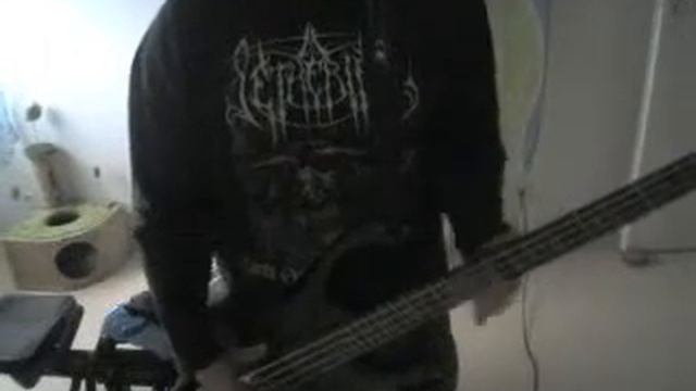 BASS Ibanez ergodyne extreme metal смотреть онлайн