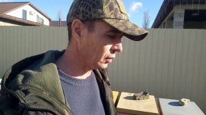 Рыночная стоимость пчелопакетов шокирует