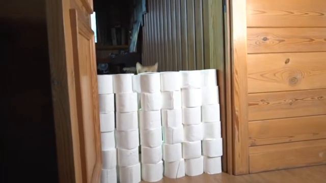 2023 04 11 14 22 44 смотреть онлайн