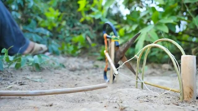 ЭКСПЕРИМЕНТ-КАК ПОЙМАТЬ ЛЕГКО ЗМЕЮ ЛОВУШКОЙ ? СМОТРИТЕ ВИДЕО !!!ЛАЙФХАК смотреть онлайн