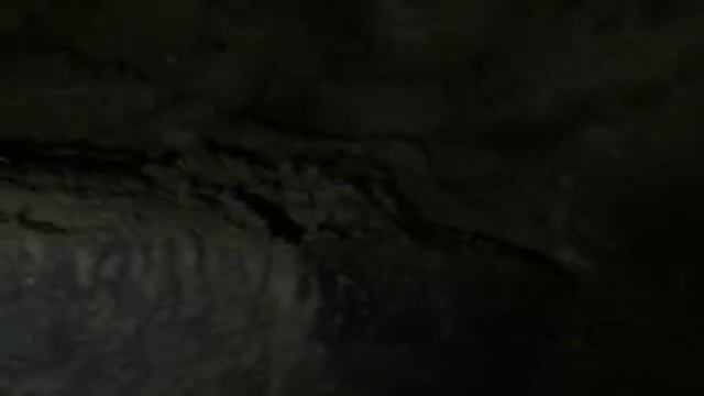 Раскопки продолжаются Ноев (1.с.) Ковчег смотреть онлайн