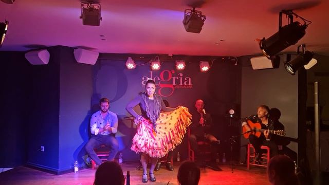 Flamenco/Goran Radosavljevic смотреть онлайн