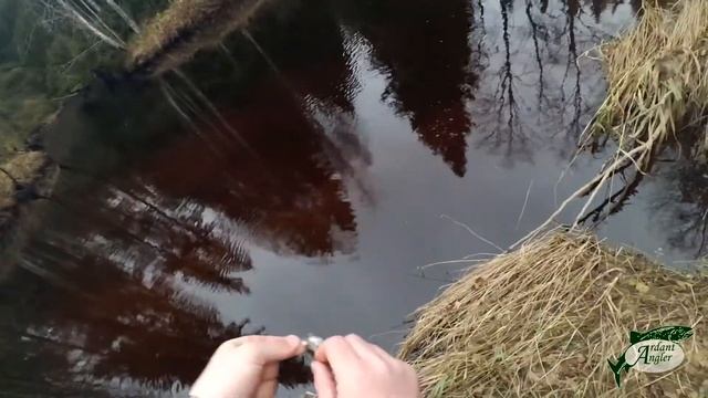 Осенняя ловля хариуса на сухую муху | Dry fly for autumn grayling смотреть онлайн